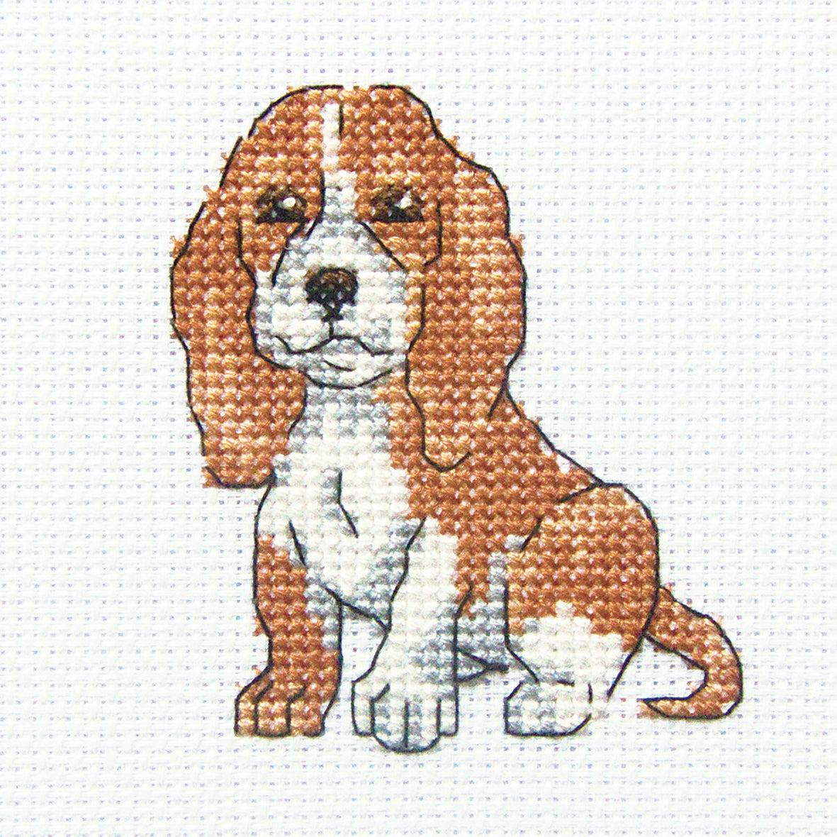Eared Baddy H234 Counted Cross Stitch Kit with Aida fabric, DMC threads, and needle.